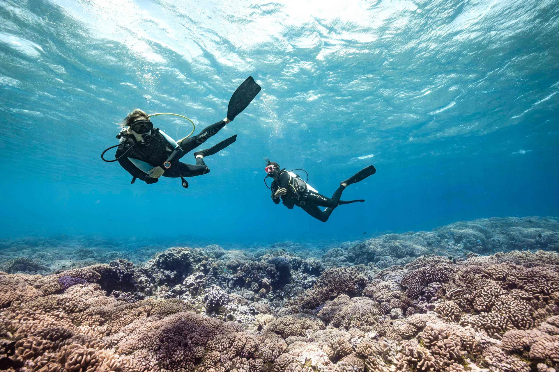 Diving Holidays in The Islands of Tahiti - Tahiti Tourisme